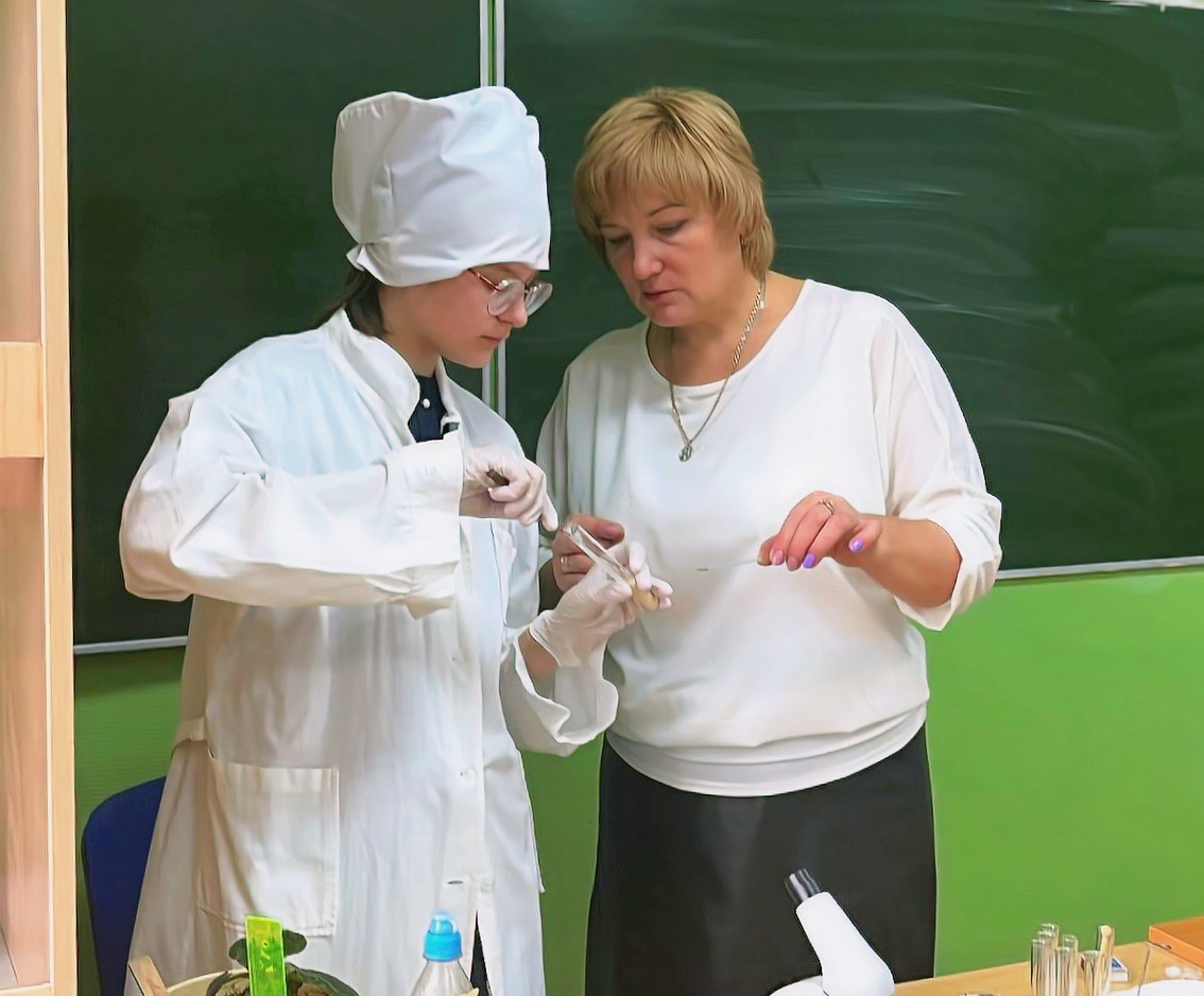 Подготовила к всероссийской олимпиаде школьников по химии.